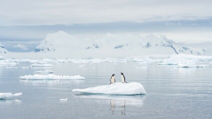 Two penguins stand on an iceberg, surrounded by the icy landscape of Antarctica