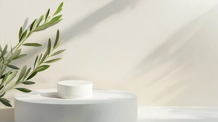 Minimalist Still Life with Olive Branch