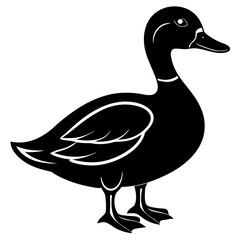 illustration of a duck