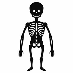 3d human skeleton