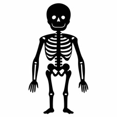 skeleton with a skeleton