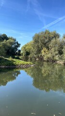 Obraz premium River with forest