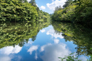 緑豊かな軽井沢の雲馬池