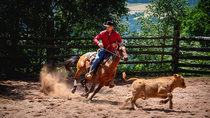 Western Rodeo . © Grzegorz
