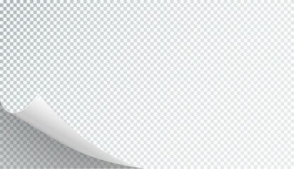 Curly Page Corner realistic illustration. Curled corners set. Paper page curl corner, flip turn fold sheet. Sticker. Vector