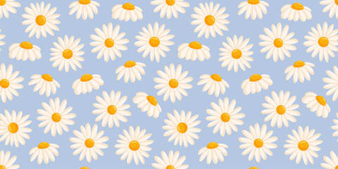 Seamless pattern with blooming daisies. Chamomile vector floral illustration for postcard, poster, fabric, wrapping paper, decor etc. Flowers for spring and summer holidays.