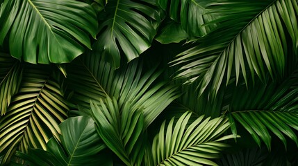 A background of dark green palm leaves with vibrant colors, creating an exotic and lush atmosphere