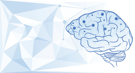 abstract human brain with low poly background to illustrate mid mapping concept, nervous system, neurology network, science and intelligence.