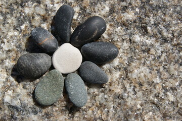 A flowers created from stones on a stone surface. Close-up.