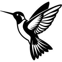 Fototapeta premium Hummingbird vector design on a white background