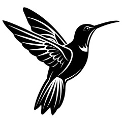Obraz premium Hummingbird vector design on a white background