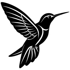 Obraz premium Hummingbird vector design on a white background