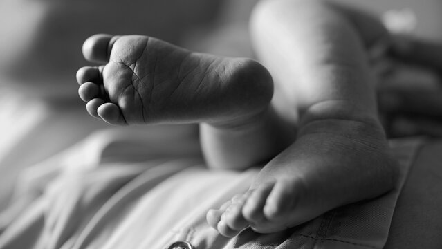 Close-up of newborn baby's feet in black and white, capturing the delicate and precious details of early life. The monochrome effect emphasizes the fragility and innocence of a newborn