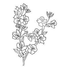 Fototapeta premium Handdrawn Art Line Floral Illustration