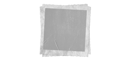 Polaroid FX RIPPED AND TORN - png - photo album, book cover, photo frame