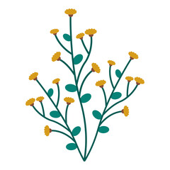 Hand Drawn Pastel Floral Illustration