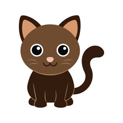 cute cat on white background