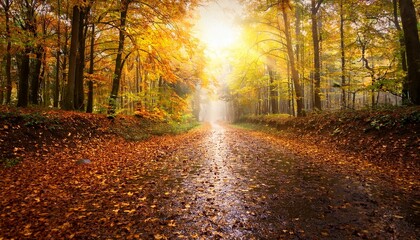 Autumn Forest Path