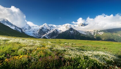 Fototapeta premium Meadow with Mountain View