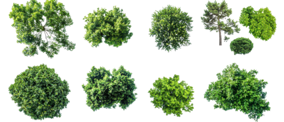 Aerial view of various lush green trees showcasing diverse shapes and sizes isolate on transparent background, cutout, png
