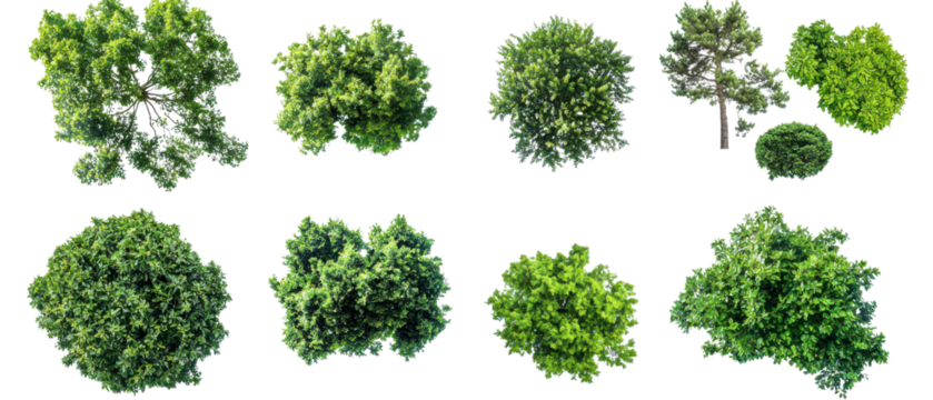 Aerial view of various lush green trees showcasing diverse shapes and sizes isolate on transparent background, cutout, png