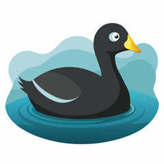  American coot bird swims icon vector art illustration