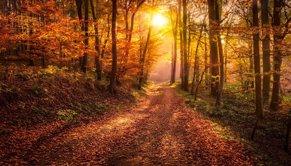 Fototapeta premium Mit Herbstlaub bedeckter Waldweg im Abendlicht, warmes goldenes licht scheint durch die Bäume, Generative AI
