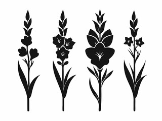 gladiolus flower vector silhouette line art icon