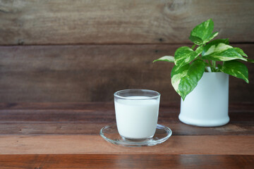 Milk in a glass cup and pothos plant on wooden counter