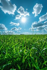 Fototapeta premium Grassy field with sun shining through the clouds and blue sky, nature background