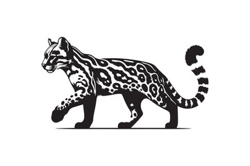 Jaguarundi vector art and illustration