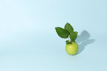 Green apple with leaves on blue background. Food concept.
