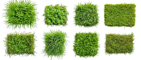 Top view, collection of lush green grass patches isolate on transparent background, cutout, png