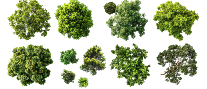 Top view, collection of various green trees, showcasing different shapes and sizes isolate on transparent background, cutout, png
