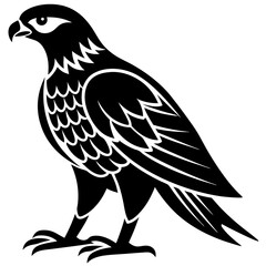 Obraz premium The hawk is standing on the ground on a white background