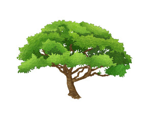 Tree drawn vector