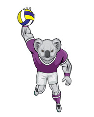 koala mascot volleyball vector illustration design