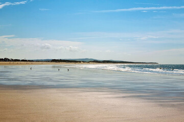 Scenic Beach Landscape with Calm Waves and Clear Sky for Travel and Nature Posters