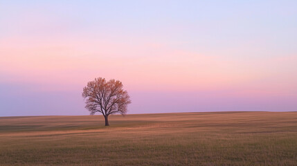 Fototapeta premium tree in the field