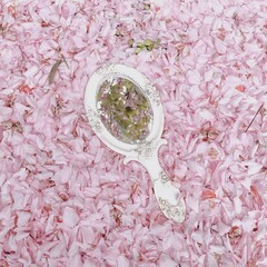 hand mirror in flower petals