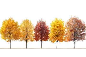 Fototapeta premium Row of colorful autumn trees isolated on transparent background. Fall season
