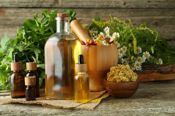 Tinctures in bottles, medicinal herbs and mortar with pestle on wooden table