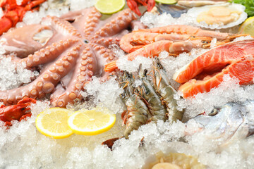 Fresh salmon steak, whole raw octopus and other sea food on ice, closeup