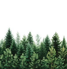 Obraz premium Illustration of a dense forest with various evergreen trees in shades of green, set against a transparent background.