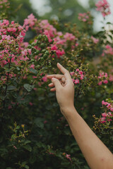 person holding a flower
