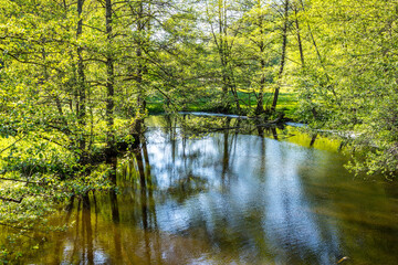 small creek hafenlohr flows through the dense wild forest
