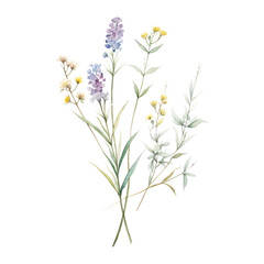 Fototapeta premium bunch of flowers watercolor isolated on transparent background cutout