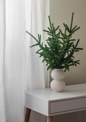 Fir branches in a white ceramic vase on a white table. Christmas Home Decor