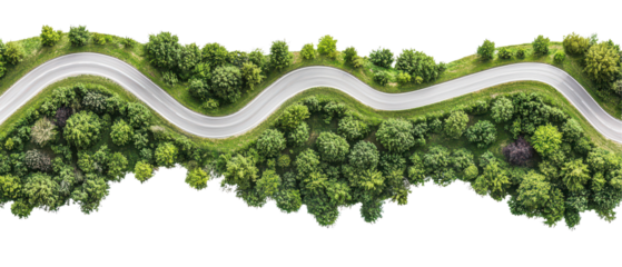Top view of a winding road surrounded by lush greenery isolate on transparent background, cutout, png