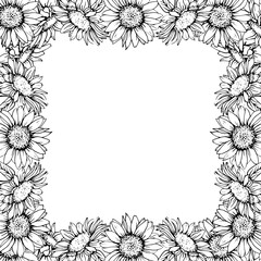 Square Sunflowers Frame with space for text. Vector illustration Graphic Flowers Pen and Ink Drawing on white background. Botanical engraving design. EPS10